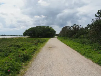 Halshuisene + Enebaerodde Beach (Denemarken)